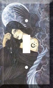 Black Magick Fairy - Light Switch Plate