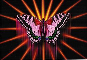 Postcard - Butterfly Rising - Clearance - Min. 12 Per Style
