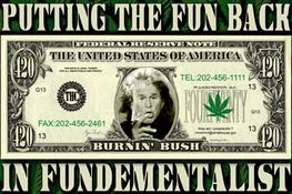 DUBYA DOLLAR - POSTER - 36" x 24" 