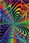 POSTCARD - VORTEX
