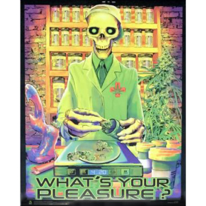 What's Your Pleasure Mini Non-Flocked Black Light Poster - 16" x 20"