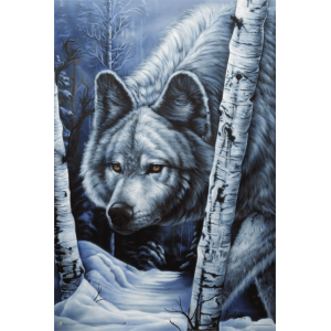 White Wolf By Jenny Newland Poster - 24" x 36"