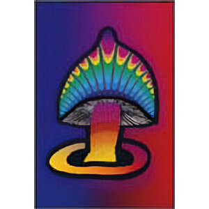 Postcard - Magic Mushroom - Clearance - Min. 12 Per Style